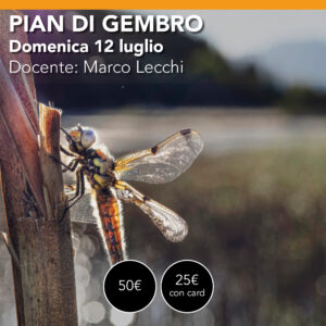 PIAN di GEMBRO (APRICA): Workshop Fotografia Macro domenica 12 luglio
