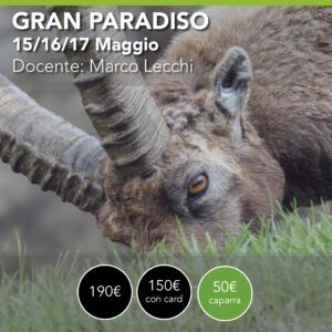 GRAN PARADISO <br> Paesaggio e Natura <br>  15/16/17 Maggio