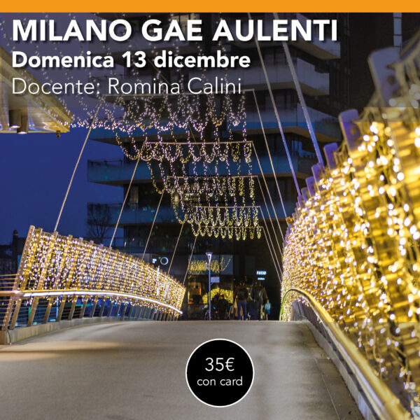 Milano Gae Aulenti<br> Workshop di Fotografia “Luci di Natale” in Portanuova<br> Sabato 13 dicembre