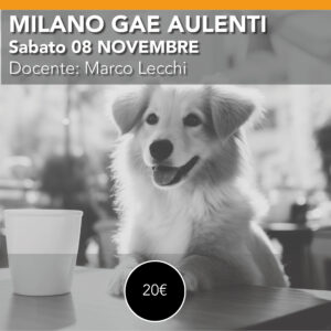 Milano Gae Aulenti <br> LABORATORIO FOTOGRAFICO ISPIRIAMOCI A ELLIOT ERWITT<br> sabato 08 Novembre