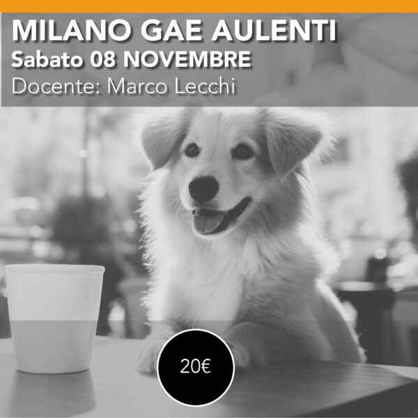 Milano Gae Aulenti <br> LABORATORIO FOTOGRAFICO ISPIRIAMOCI A ELLIOT ERWITT<br> sabato 08 Novembre
