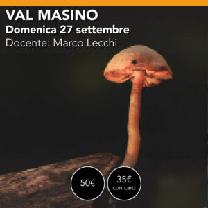 VAL MASINO <br> Fotografia Macro Domenica 27 settembre
