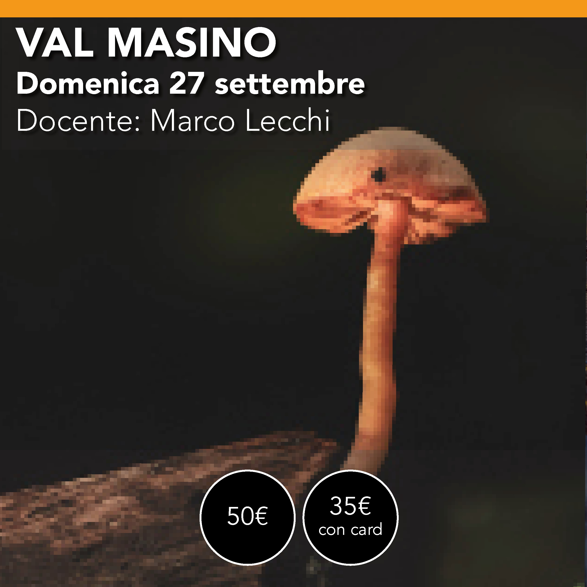 VAL MASINO <br> Fotografia Macro Domenica 27 settembre