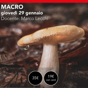 MACRO FOTOGRAFIA  webinar online  Giovedì 29 gennaio