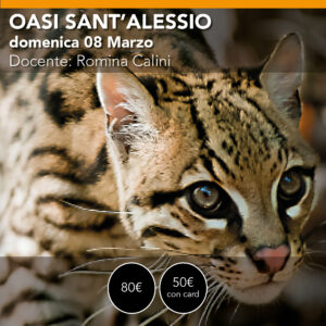 OASI SANT'ALESSIO workshop di Fotografia Naturalistica - Domenica 08 marzo