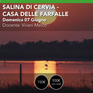 Saline di Cervia e Casa delle Farfalle <br> Workshop Naturalistico Domenica 07 giugno