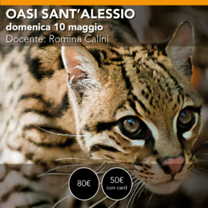 OASI SANT'ALESSIO workshop di Fotografia Naturalistica - Domenica 10 maggio