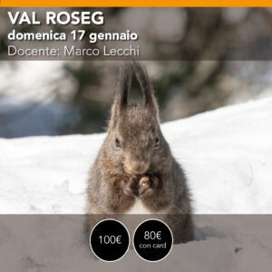 VAL ROSEG <br> domenica 17 gennaio 2027