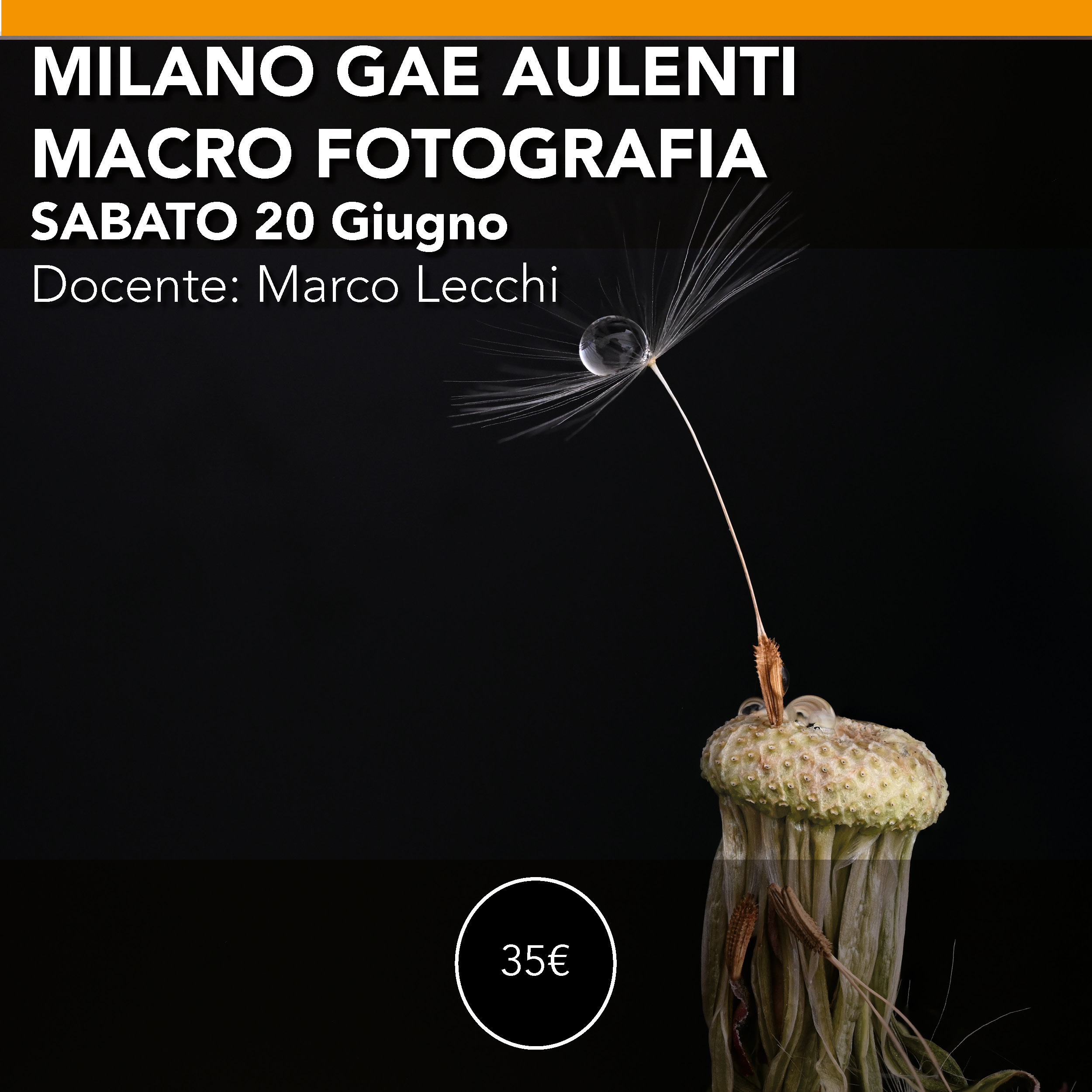 Milano Gae Aulenti<br> Workshop di Fotografia Macro<br> Sabato 20 giugno