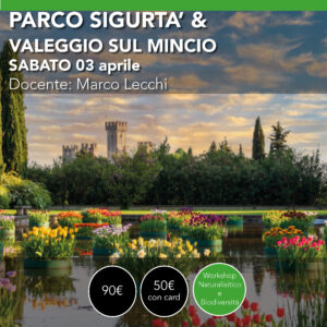 Parco Sigurtà e Valeggio sul Mincio <br> Sabato 03 aprile 2027