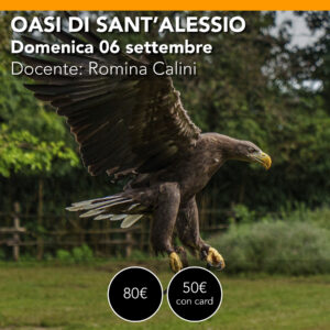 OASI SANT'ALESSIO <br> Workshop di Fotografia Naturalistica <br> Domenica 06 settembre