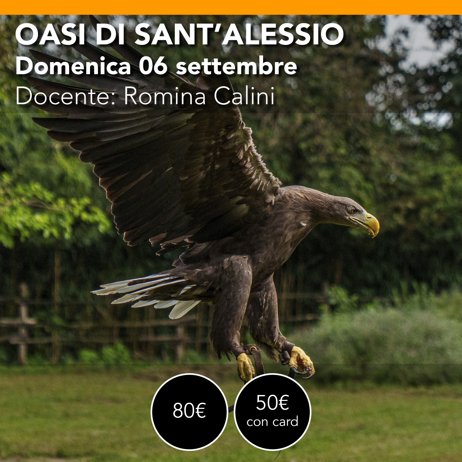 OASI SANT'ALESSIO <br> Workshop di Fotografia Naturalistica <br> Domenica 06 settembre