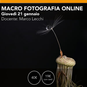 MACRO FOTOGRAFIA  webinar online  Giovedì 21 gennaio 2027