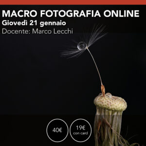 MACRO FOTOGRAFIA  webinar online  Giovedì 21 gennaio 2027