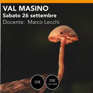 VAL MASINO <br> Fotografia Macro Sabato 26 settembre (ULTIMI POSTI)