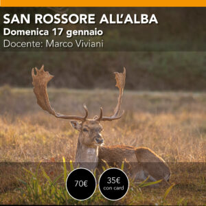 SAN ROSSORE  - Workshop Paesaggio e Naturalistica- domenica 17 gennaio 2027