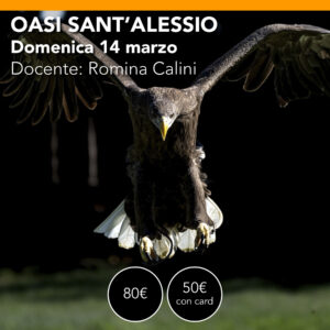 OASI SANT'ALESSIO <br> Workshop di Fotografia Naturalistica <br> Domenica 14 marzo 2027