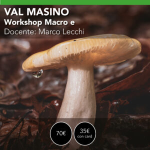 Domenica 26 settembre <br> VAL MASINO